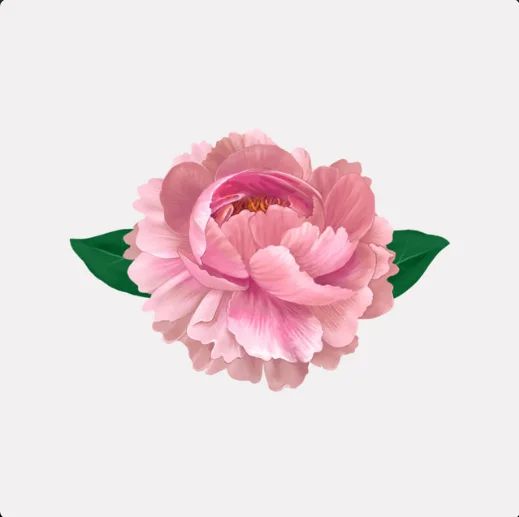 Cover art for Tey Boogie's DON'T ASK ME NO QUESTIONS